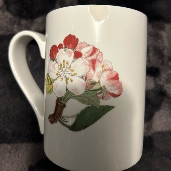 Pomona Port Meirion Fig - Picture 8 of 9